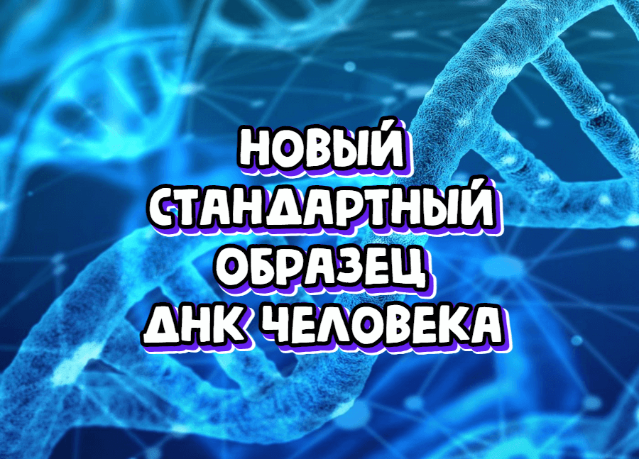 Новый стандартный образец ДНК человека снижает зависимость лабораторий от импорта